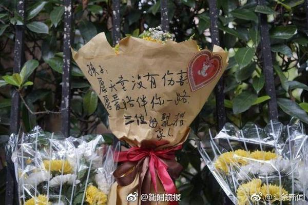 星空综合app桌面版客户端