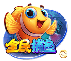 星空综合app电脑免费版